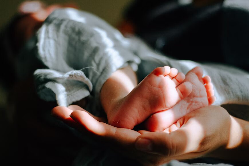 IVF Success Rate in India