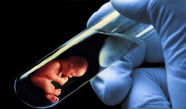 Know Everything About Test Tube Baby Treatment and Success Rate