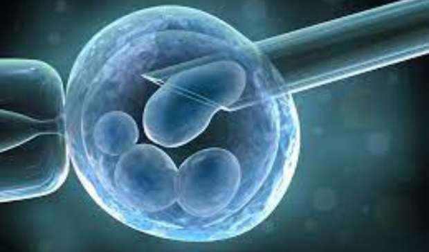 Understanding Preimplantation Genetic Diagnosis (PGD) – Complete Guide For Genetic Test