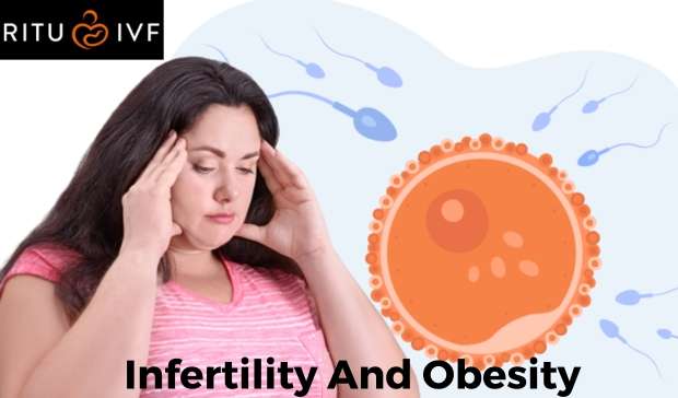 Understand the Link Between Infertility and Obesity