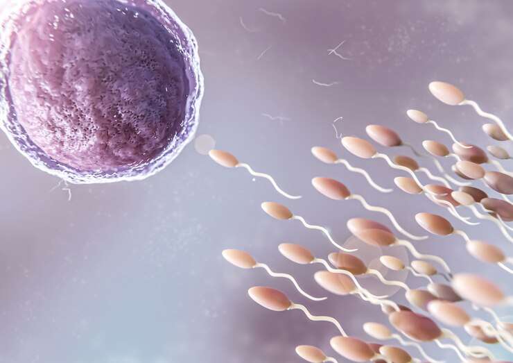 Boosting Male Fertility: How to Increase Sperm Count and Motility