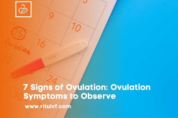 7 Signs of Ovulation: Ovulation Symptoms to Observe 