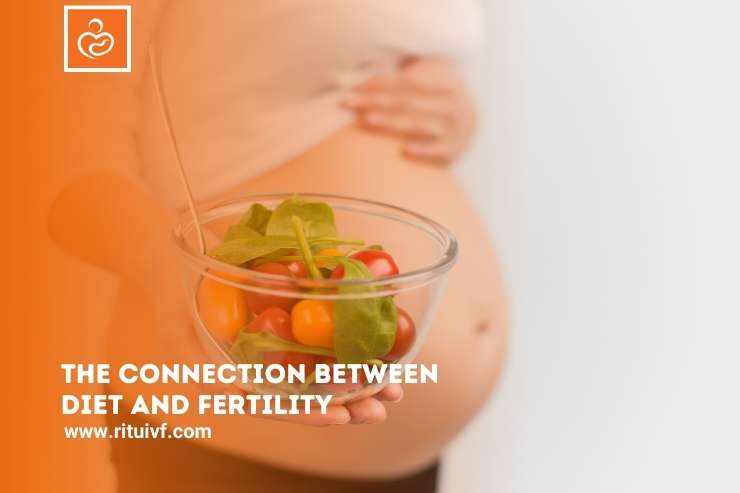 The Connection Between Diet and Fertility? What to Eat to Boost Female Fertility?