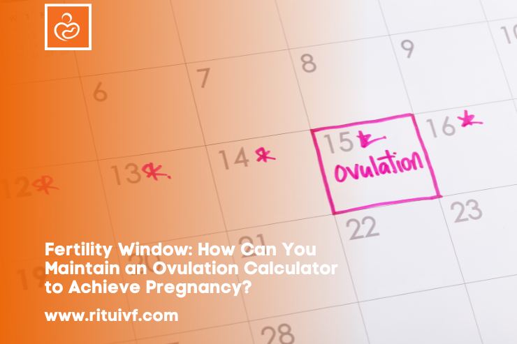 Fertility Window: How Can You Maintain an Ovulation Calculator to Achieve Pregnancy?