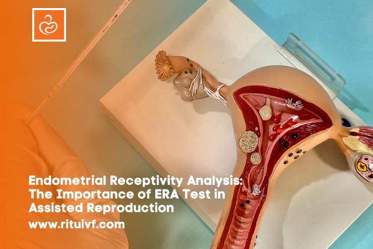 Endometrial Receptivity Analysis: The Importance of ERA Test in Assisted Reproduction