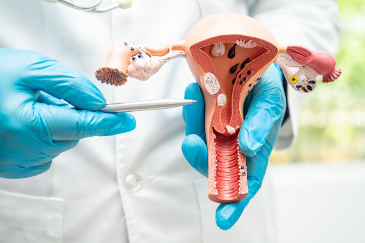 7 Causes of a Bulky Uterus Every Woman Should Know