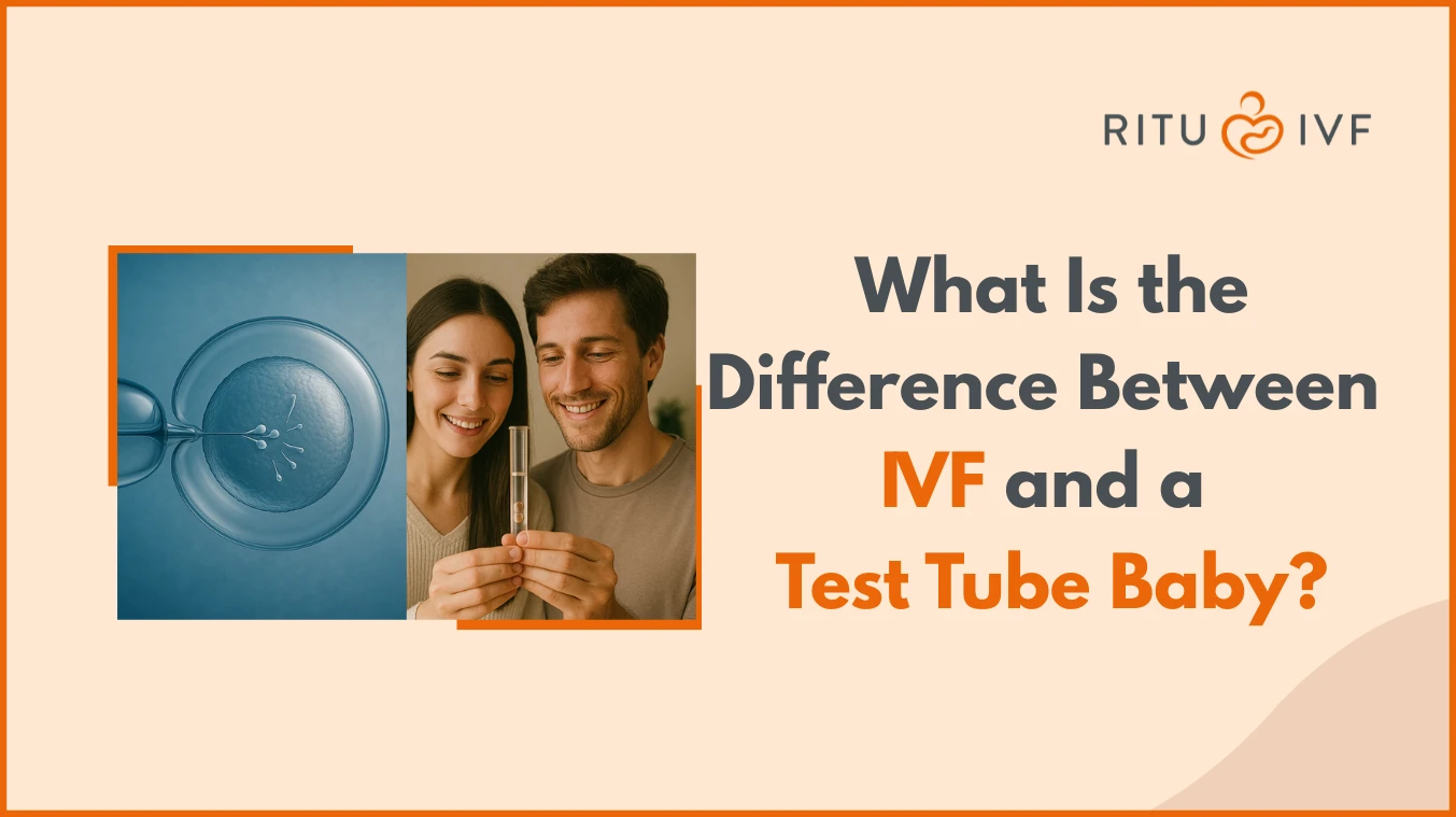 What Is the Difference Between IVF and a Test Tube Baby?