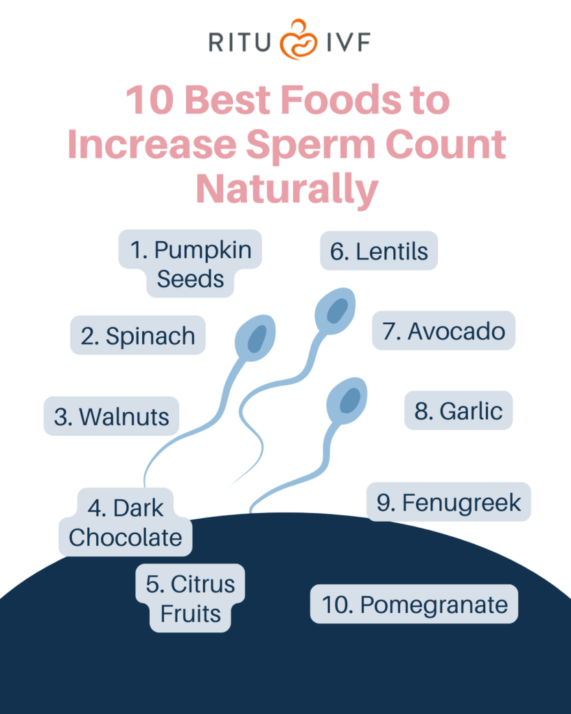 10 Best Foods to Increase Sperm Count Naturally