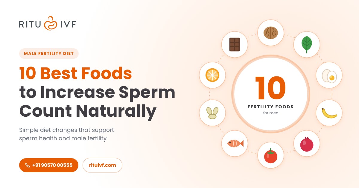 10 Best Foods to Increase Sperm Count Naturally in 2026